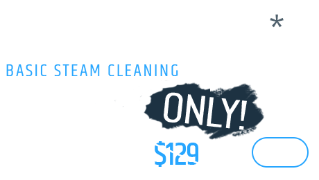 3 seater Sofa - Basic steam cleaning, Only $109