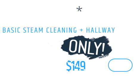 3 rooms - Basic steam cleaning + Hallway, Only $129 3 rooms - Basic steam cleaning + Hallway, Only $129