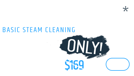 Sectional - Basic steam cleaning, Only $149 Sectional - Basic steam cleaning, Only $149