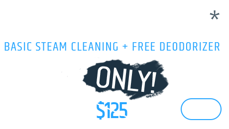 Full Size single mattress - Basic steam cleaning + FREE Deodorizer, Only $99 Full Size single mattress - Basic steam cleaning + FREE Deodorizer, Only $99